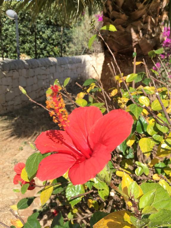 Hibiscus Rosso Villa Donnalucata  Bagian luar foto